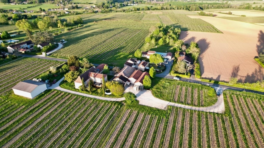 Photos 3 - Viticole - Propriété viticole