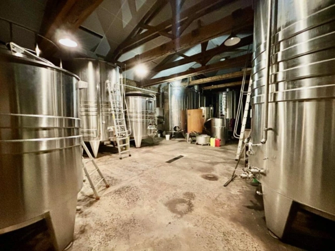 Photos 5 - Viticole - Propriété viticole