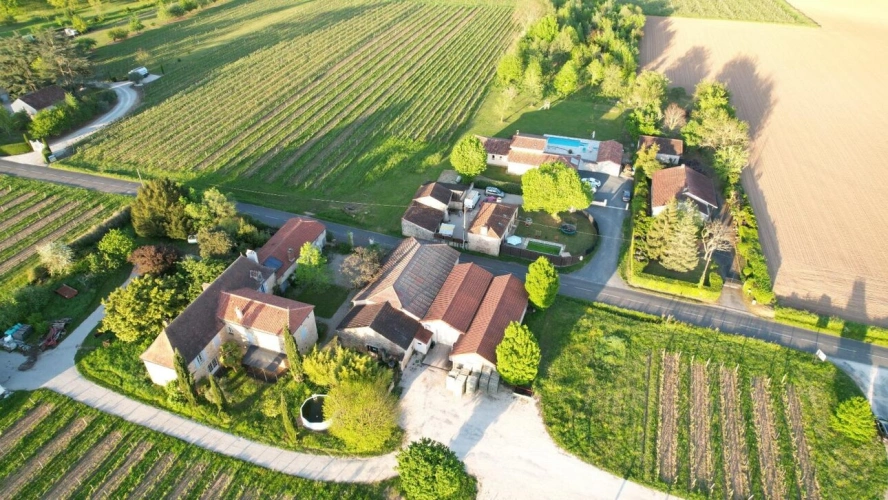 Photos 6 - Viticole - Propriété viticole