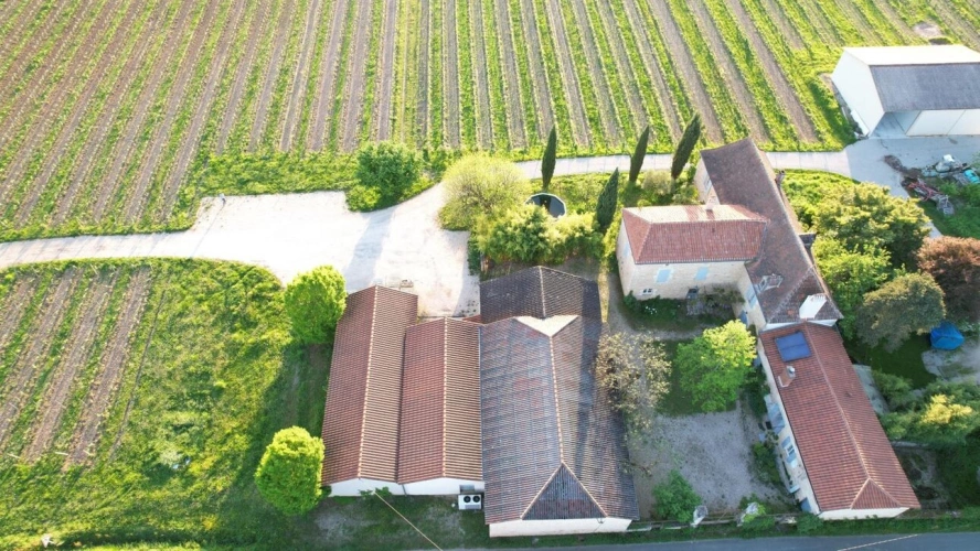 Photos 7 - Viticole - Propriété viticole