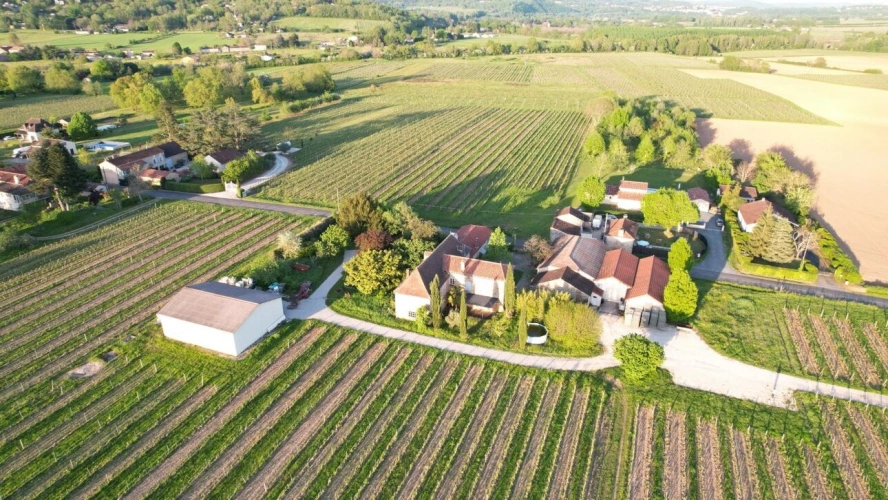 Photos 8 - Viticole - Propriété viticole