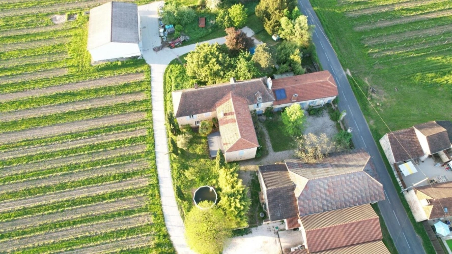 Photos 9 - Viticole - Propriété viticole