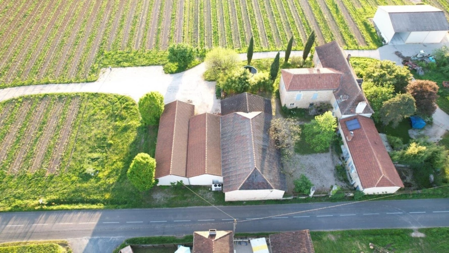 Photos 11 - Viticole - Propriété viticole