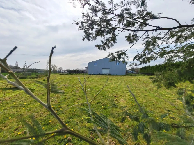 Photos 16 - Agricole - Domaine CANIN entre terre et mer - Elevage et Pension