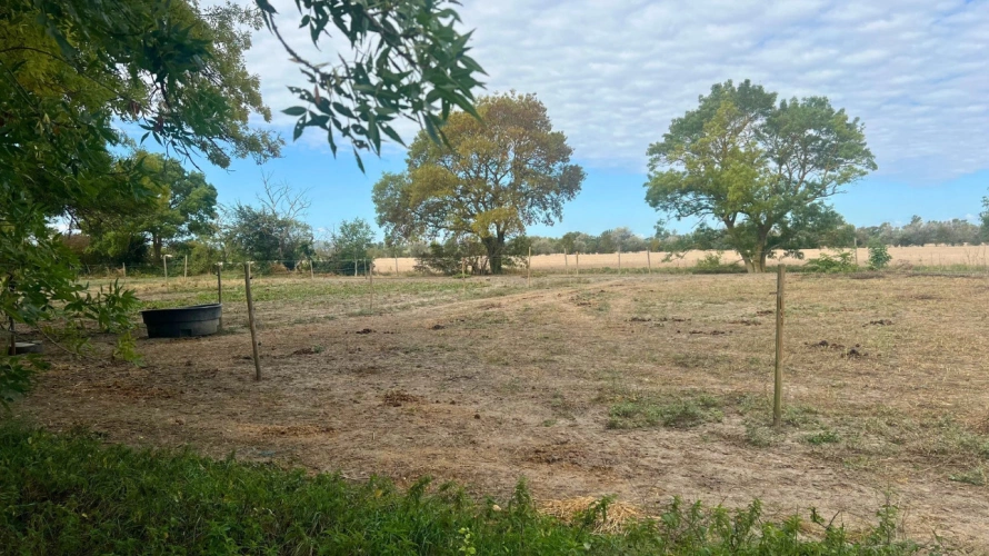 Photos 7 - Équestre - Propriété équestre à fort potentiel dans l'Aude (11)