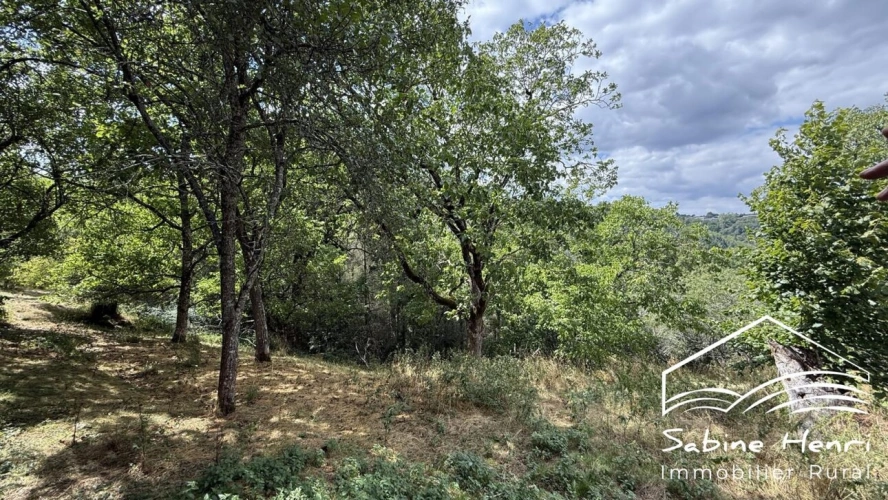 Photos 20 - Touristique - Ferme sur 8 hectares