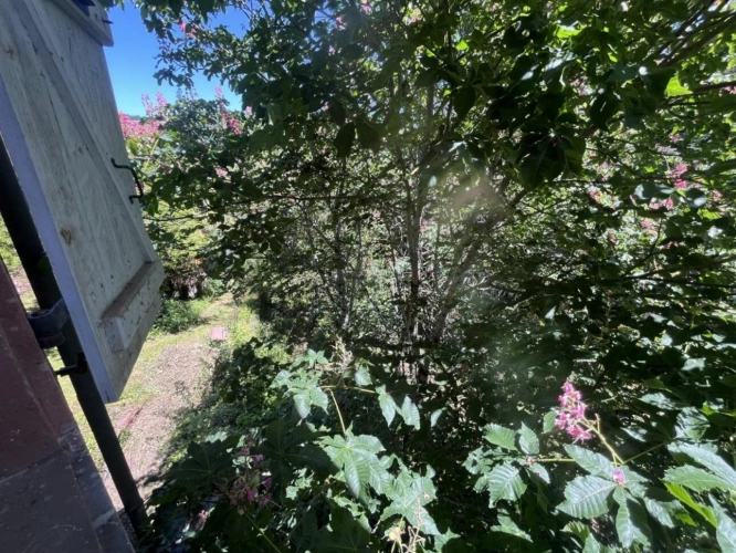 Photos 15 - Prestigious - House