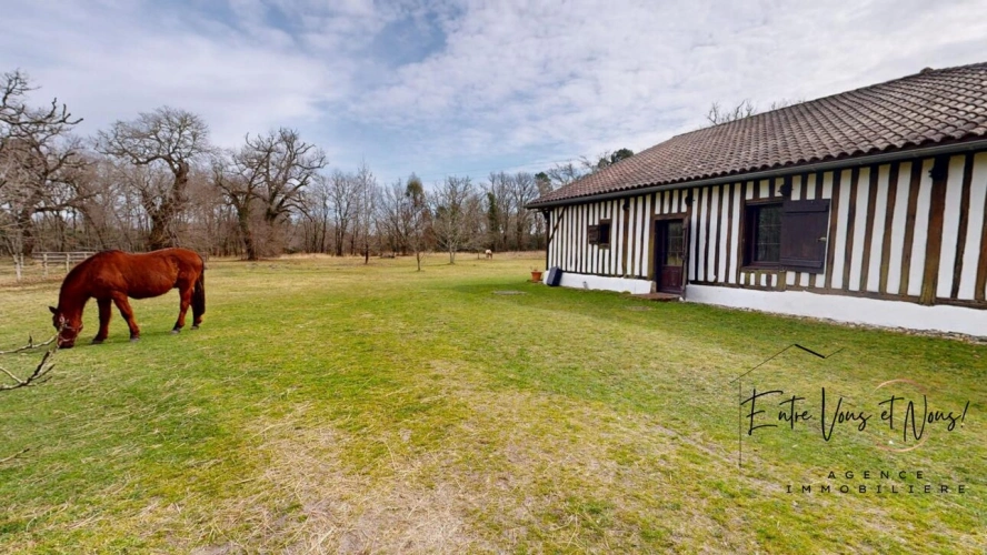 Photos 8 - Équestre - PROPRIÉTÉ ÉQUESTRE+GITE, 7HA