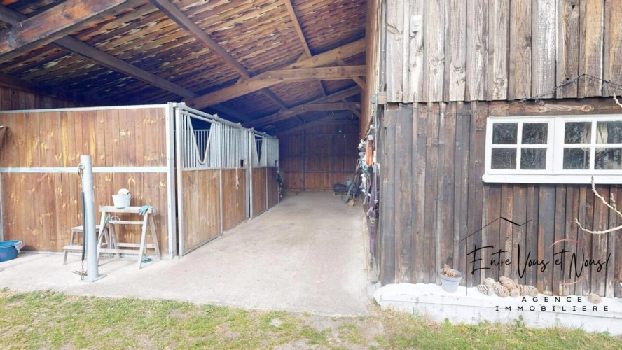 Photos 9 - Équestre - PROPRIÉTÉ ÉQUESTRE+GITE, 7HA