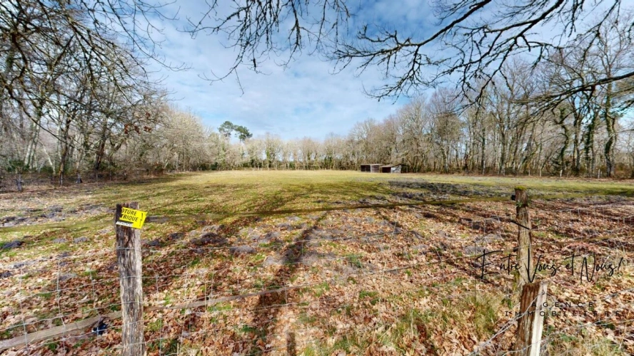 Photos 19 - Équestre - PROPRIÉTÉ ÉQUESTRE+GITE, 7HA