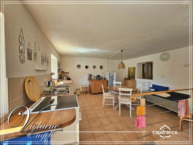 Photos 15 - Touristique - Siran – Domaine de 36 hectares avec bâtiments restaurés – idéal projet touristique, équestre ou agricole