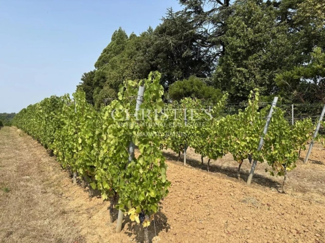 Photos 24 - Prestige - Region Saint-Emilion- Élégant château familial, facile à gérer