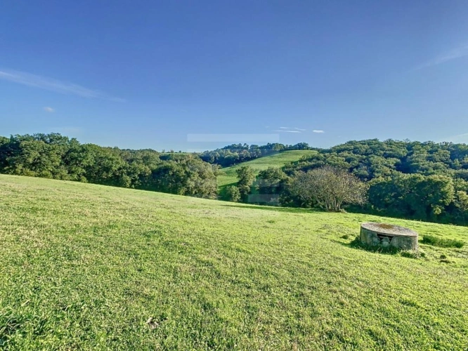 Photos 5 - Agricole - Ovins / Caprins