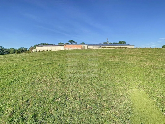 Photos 6 - Agricole - Ovins / Caprins