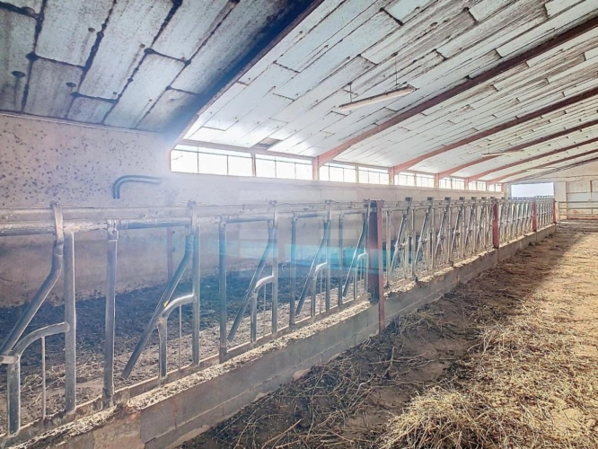 Photos 8 - Agricole - Ovins / Caprins