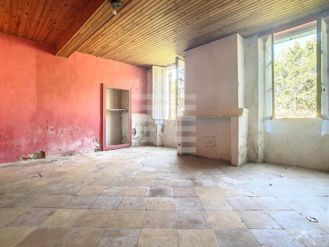 Photos 13 - Agricole - Horticole / Maraîchage