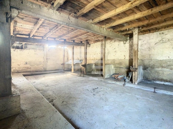 Photos 16 - Agricole - Horticole / Maraîchage