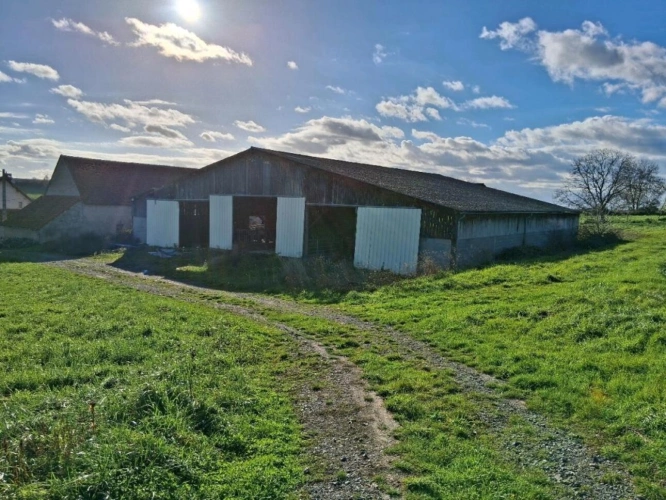 Photos 13 - Agricole - ALLIER