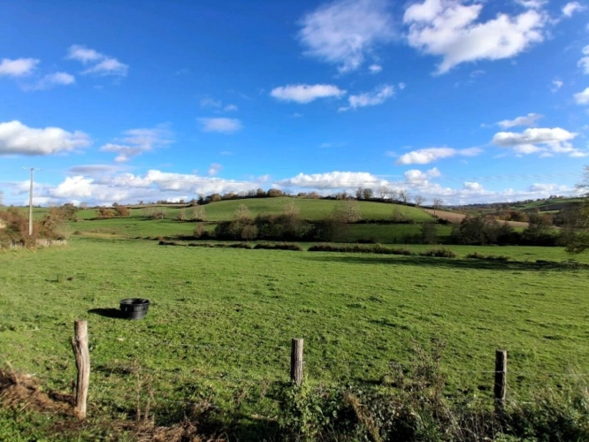 Photos 16 - Agricole - ALLIER