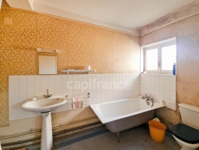 Photos 7 - Touristique - Propriete à vendre 5 pièces ALLEREY SUR SAONE (71) bord de Saône