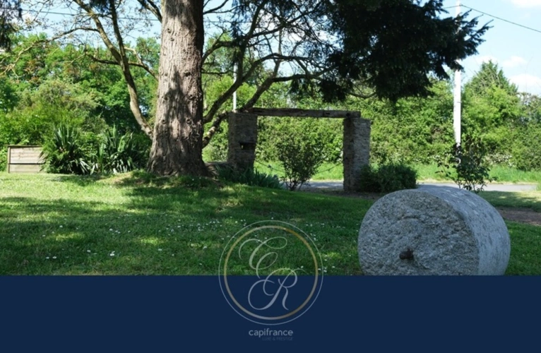 Photos 30 - Touristique - Un havre de paix au cœur des vignes du Layon – Propriété avec gîtes et parc arboré