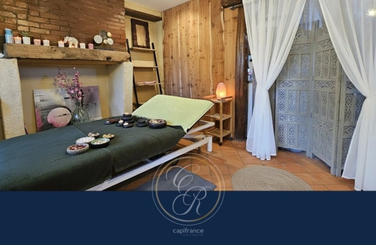 Photos 10 - Touristique - Un havre de paix au cœur des vignes du Layon – Propriété avec gîtes et parc arboré