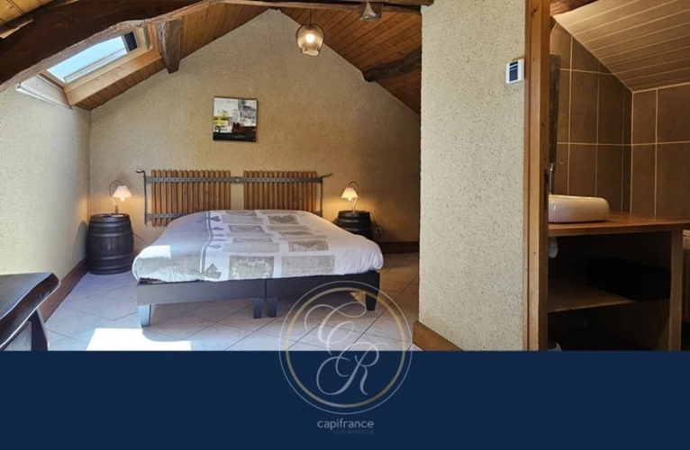 Photos 20 - Touristique - Un havre de paix au cœur des vignes du Layon – Propriété avec gîtes et parc arboré