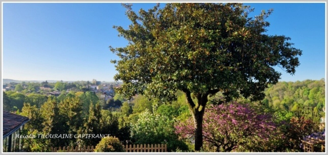 Photos 11 - Prestige - à vendre SAINT MAIXENT L'ECOLE (79) propriété P12 de 446 m² - Terrain de 2 152 m²