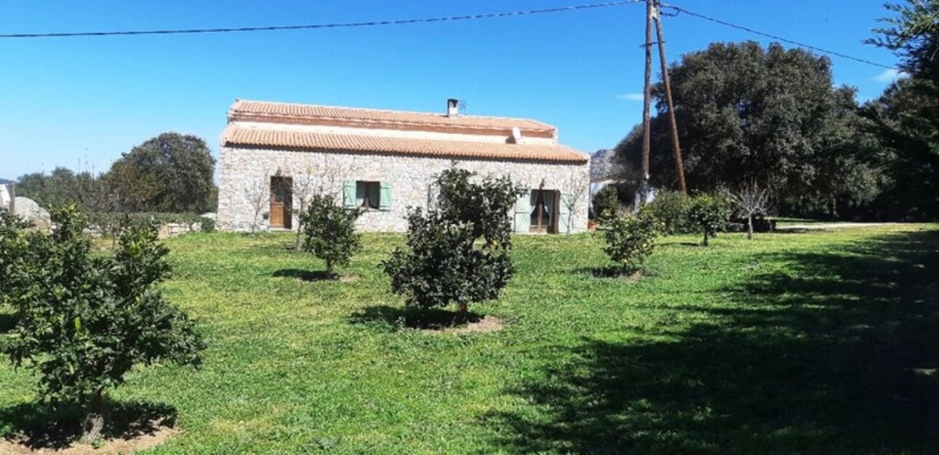 Photos 15 - Agricultural - EXCLUSIVE: Near L'ILE ROUSSE, Plaine du Reginu, stone property with 5 bedrooms, 161 m² on 1.96 ha of