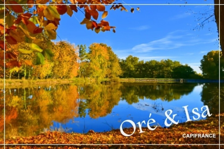 Photos 2 - Foncière - Etang et Terrain à vendre de 49 655,00 m² SAINT DESIRE (03)