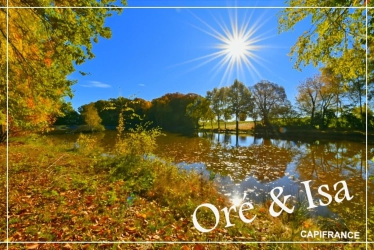 Photos 3 - Foncière - Etang et Terrain à vendre de 49 655,00 m² SAINT DESIRE (03)