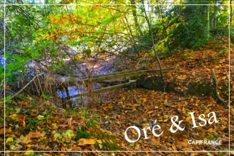 Photos 4 - Foncière - Etang et Terrain à vendre de 49 655,00 m² SAINT DESIRE (03)