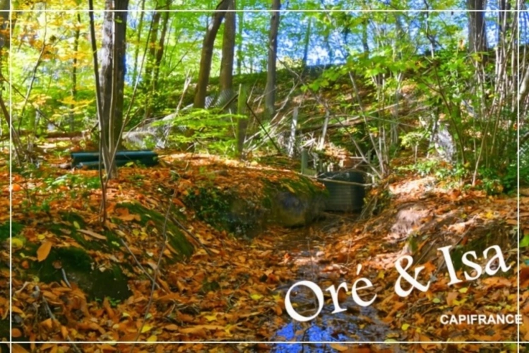 Photos 5 - Foncière - Etang et Terrain à vendre de 49 655,00 m² SAINT DESIRE (03)