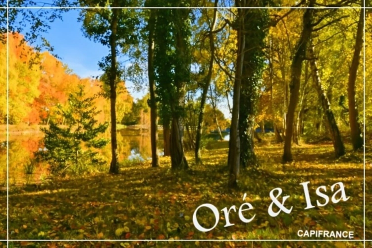 Photos 6 - Foncière - Etang et Terrain à vendre de 49 655,00 m² SAINT DESIRE (03)