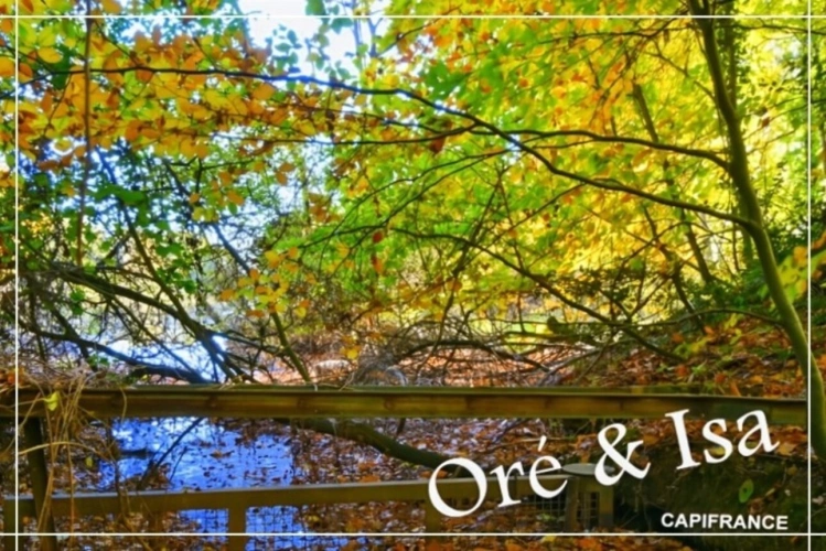 Photos 7 - Foncière - Etang et Terrain à vendre de 49 655,00 m² SAINT DESIRE (03)