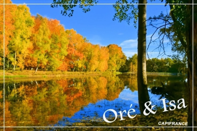 Photos 8 - Foncière - Etang et Terrain à vendre de 49 655,00 m² SAINT DESIRE (03)