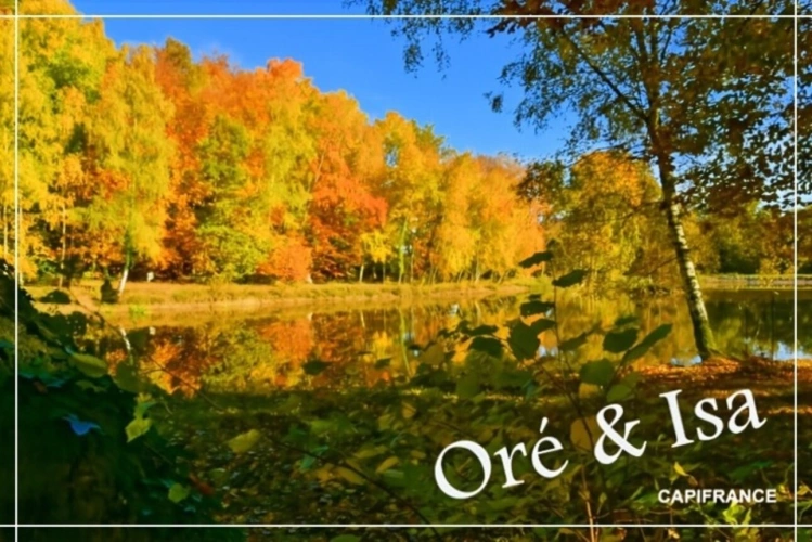 Photos 9 - Foncière - Etang et Terrain à vendre de 49 655,00 m² SAINT DESIRE (03)