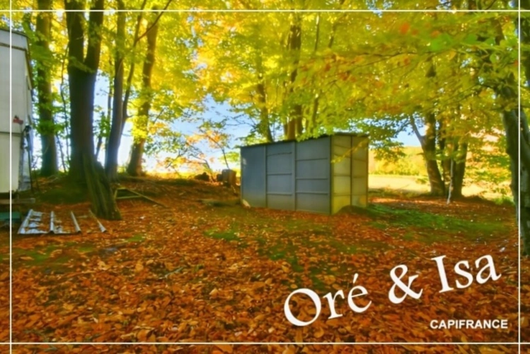 Photos 10 - Foncière - Etang et Terrain à vendre de 49 655,00 m² SAINT DESIRE (03)