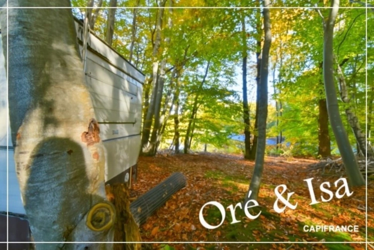 Photos 11 - Foncière - Etang et Terrain à vendre de 49 655,00 m² SAINT DESIRE (03)