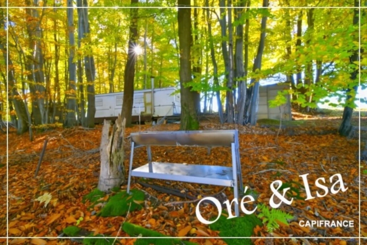 Photos 12 - Foncière - Etang et Terrain à vendre de 49 655,00 m² SAINT DESIRE (03)