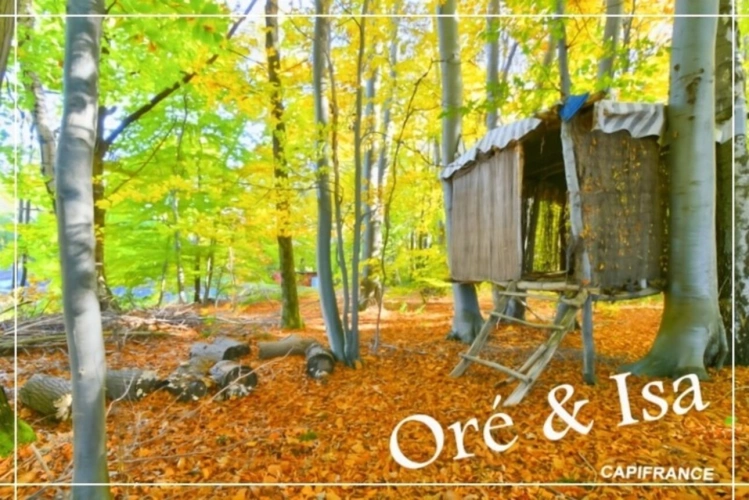 Photos 13 - Foncière - Etang et Terrain à vendre de 49 655,00 m² SAINT DESIRE (03)