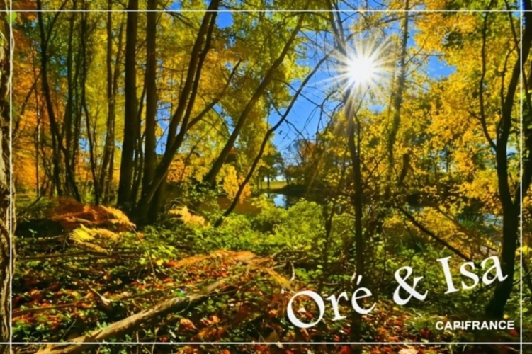 Photos 15 - Foncière - Etang et Terrain à vendre de 49 655,00 m² SAINT DESIRE (03)