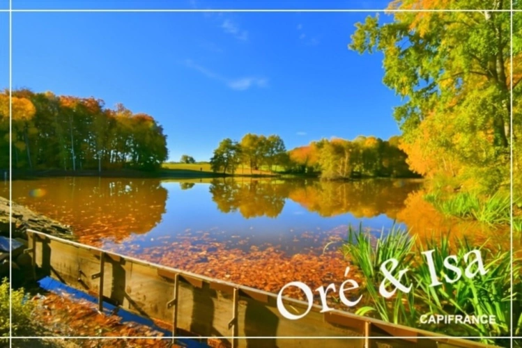 Photos 17 - Foncière - Etang et Terrain à vendre de 49 655,00 m² SAINT DESIRE (03)