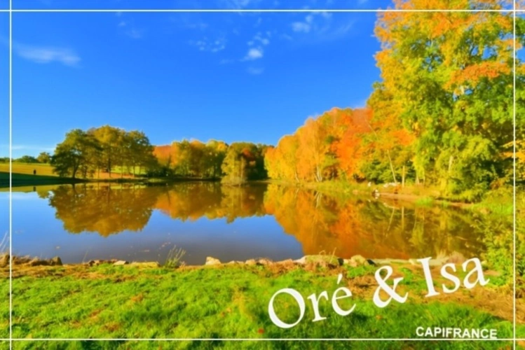 Photos 18 - Foncière - Etang et Terrain à vendre de 49 655,00 m² SAINT DESIRE (03)