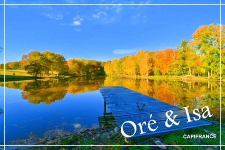 Photos 19 - Foncière - Etang et Terrain à vendre de 49 655,00 m² SAINT DESIRE (03)