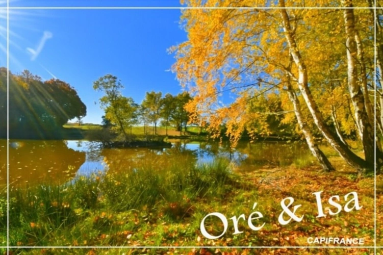 Photos 20 - Foncière - Etang et Terrain à vendre de 49 655,00 m² SAINT DESIRE (03)