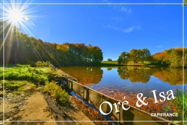 Photos 21 - Foncière - Etang et Terrain à vendre de 49 655,00 m² SAINT DESIRE (03)