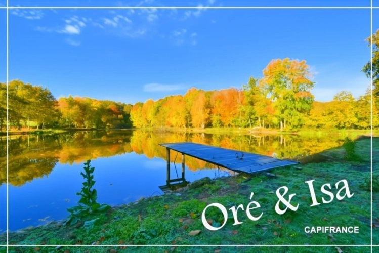 Photos 22 - Foncière - Etang et Terrain à vendre de 49 655,00 m² SAINT DESIRE (03)