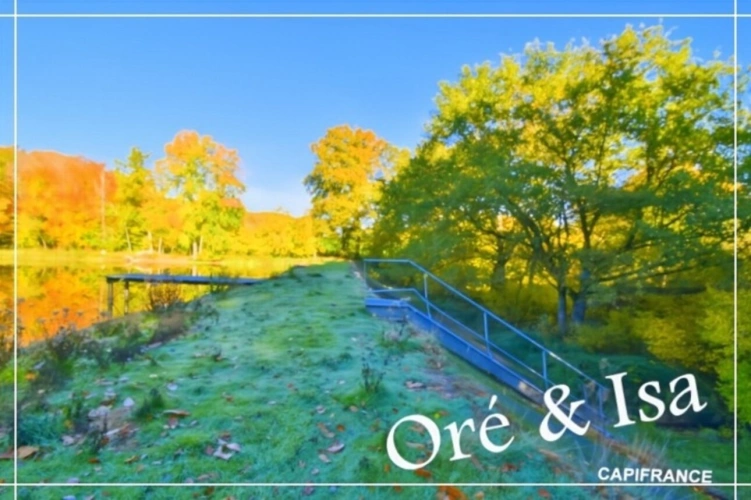 Photos 24 - Foncière - Etang et Terrain à vendre de 49 655,00 m² SAINT DESIRE (03)