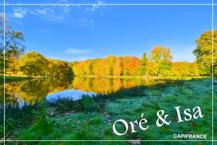 Photos 25 - Foncière - Etang et Terrain à vendre de 49 655,00 m² SAINT DESIRE (03)